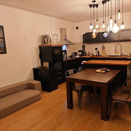 Sauna Zenklova 1, 4 Rooms, Terase, Garden, Sauna プラハ
